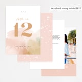 "Morning Mist" - Table Numbers in Blush by Carrie ONeal - Back of Card Options