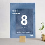 "Contemporary" - Table Numbers in Peony by Liz Conley - Front