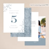 "Love Beyond Measure" - Table Numbers in Mineral by Oscar and Emma - Karly Depew - Back of Card Options