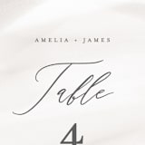 "Overjoyed" - Table Numbers in Taupe by Ana Sharpe - Detail