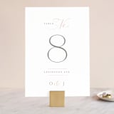 "Gramercy" - Table Numbers in Blush by Kristie Kern - Front