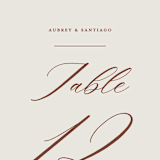 "Streamlined" - Table Numbers in Nutmeg by Nicole Barreto - Detail