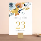 "Daydream" - Table Numbers in Honey by Beth Schneider - Front