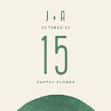 "Double Rainbow" - Table Numbers in Cactus by Pink House Press - Detail