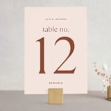 "There Will Be a Party" - Table Numbers in Terra Cotta by Amy Payne - Front