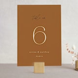 "Modern Traditionalist" - Table Numbers in Butterscotch by Morgan Kendall - Front