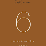 "Modern Traditionalist" - Table Numbers in Butterscotch by Morgan Kendall - Detail