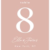 "Party Accordingly" - Table Numbers in Blush by Hudson meet Rose - Detail