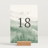 "Over the mountains" - Table Numbers in Fern by Helen Halik - Displayed (stand not included)