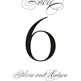 "Plaza" - Table Numbers in Onyx by Lauren Chism - Detail