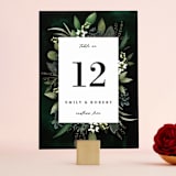 "Forest Finds" - Table Numbers in Emerald by Susan Moyal - Front