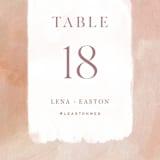 "Magic Hour" - Table Numbers in Desert Rose by Hooray Creative - Detail