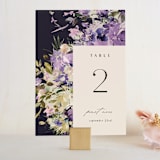 "goddess" - Table Numbers in Midnight by Lori Wemple - Front