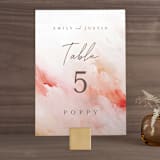 "Delicate brushstrokes" - Table Numbers in Blush by Lucrecia Caporale - Front