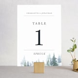 "painted woods" - Table Numbers in Rain by Anne Kostecki - Front
