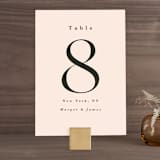 "SoHo" - Table Numbers in Blush by Hudson meet Rose - Front