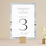 "Water's Edge" - Table Numbers in Cloud by Nicoletta Savod - Front