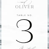 "Water's Edge" - Table Numbers in Cloud by Nicoletta Savod - Detail