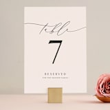 "Everlasting" - Table Numbers in Latte by Jennifer Postorino - Front
