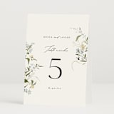 "Fleur" - Table Numbers in Lily by Everett Paper Goods - Folded