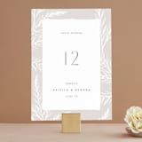 "Winter Birch" - Table Numbers in Natural by Melanie Severin - Front
