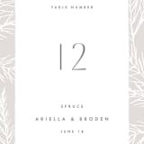 "Winter Birch" - Table Numbers in Natural by Melanie Severin - Detail
