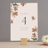 "Halcyon" - Table Numbers in Dove by Olivia Kanaley Inman - Front