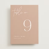 "Overlap" - Table Numbers in Terracotta by Kelly Schmidt - Front