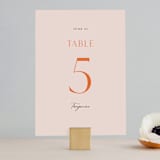 "ampersand names" - Table Numbers in Carrot by Lori Wemple - Front