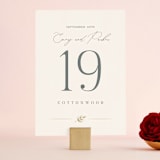 "Lakefront" - Table Numbers in Natural by Robert and Stella - Front
