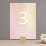 "Amanecer" - Table Numbers in Dawn by Tamara Hilje - Front