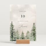 "montagna" - Table Numbers in Forest by Petra Kern - Displayed (stand not included)