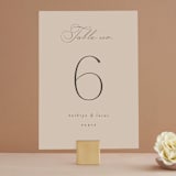 "Formal Elegance" - Table Numbers in Latte by Morgan Kendall - Front