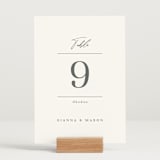 "Sector" - Table Numbers in Snow by Kaydi Bishop - Displayed (stand not included)