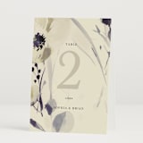 "Linen and Cloth" - Table Numbers in Almond by Peony Rose Design - Folded
