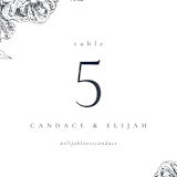 "Delicate" - Table Numbers in Pearl by Emily Sabol Goss - Detail