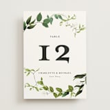 "Greenery" - Table Numbers in Fern by Susan Moyal - Front