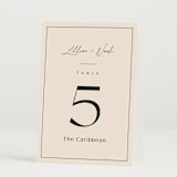 "Modern Aligned" - Table Numbers in Creampuff by Carolyn MacLaren - Folded