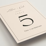 "Modern Aligned" - Table Numbers in Creampuff by Carolyn MacLaren - Detail