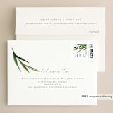 "Botanical Frame" - Wedding Thank You Cards in Fern by Kate Ahn - FREE Recipient Addressing