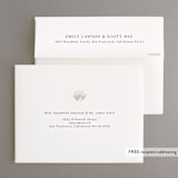 "Simple Seashell" - Wedding Thank You Cards in Sand by Hannah Bowman - FREE Recipient Addressing