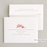 "A cake to celebrate" - Party Thank You Cards in Peach by Hudson meet Rose - FREE Recipient Addressing