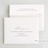 "Cheers!" - Party Thank You Cards in Sage by Stephanie Hawkes - Envelope Addressing