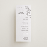 "Bouvardia" - Letterpress Long Programs in Graphite by Deynaaz Daraei - Front