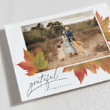 "Maple Lovers" - Thanksgiving Cards in Autumn by Grae - Detail