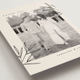 "Italia" - Wedding Thank You Postcards in Taupe by Kelly Schmidt - Detail