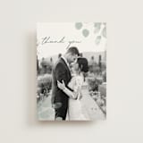 "Silver Dollar Eucalyptus" - Wedding Thank You Postcards in Silver Dollar by Shannon Chen of Four Wet Feet Studio - Front