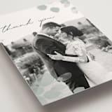 "Silver Dollar Eucalyptus" - Wedding Thank You Postcards in Silver Dollar by Shannon Chen of Four Wet Feet Studio - Detail