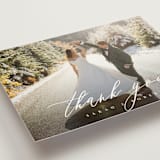 "Corison" - Wedding Thank You Postcards in Classic by Kelly Schmidt - Detail