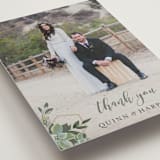 "Succulent Surround" - Wedding Thank You Postcards in Cloud by Susan Moyal - Detail